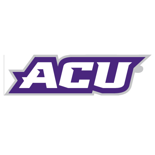 Abilene Christian Wildcats 2013-Pres Wordmark Logo T-shirts Iron